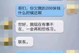 冷湖遇到恶意拖欠？专业追讨公司帮您解决烦恼